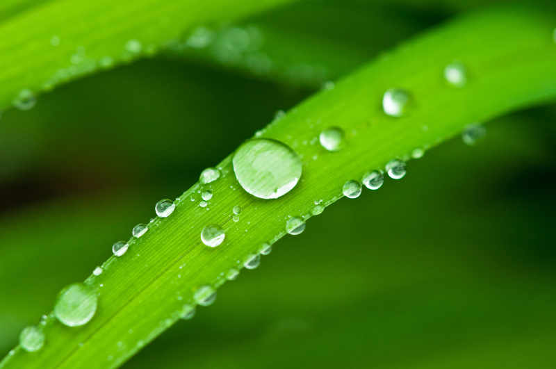 Agrotech VIta